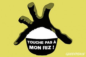 touche-pas-a-mon-riz-faire-b
