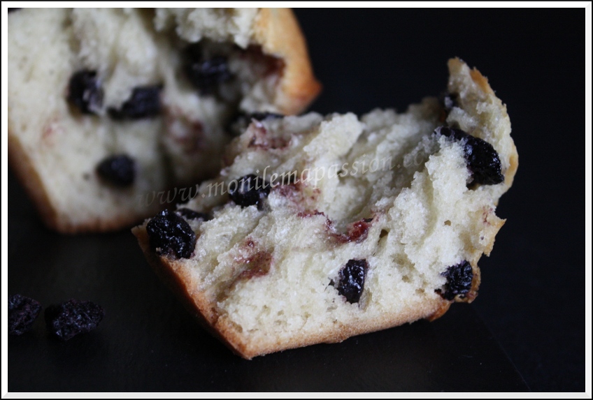 Muffins aux bleuets – Blueberry Muffins