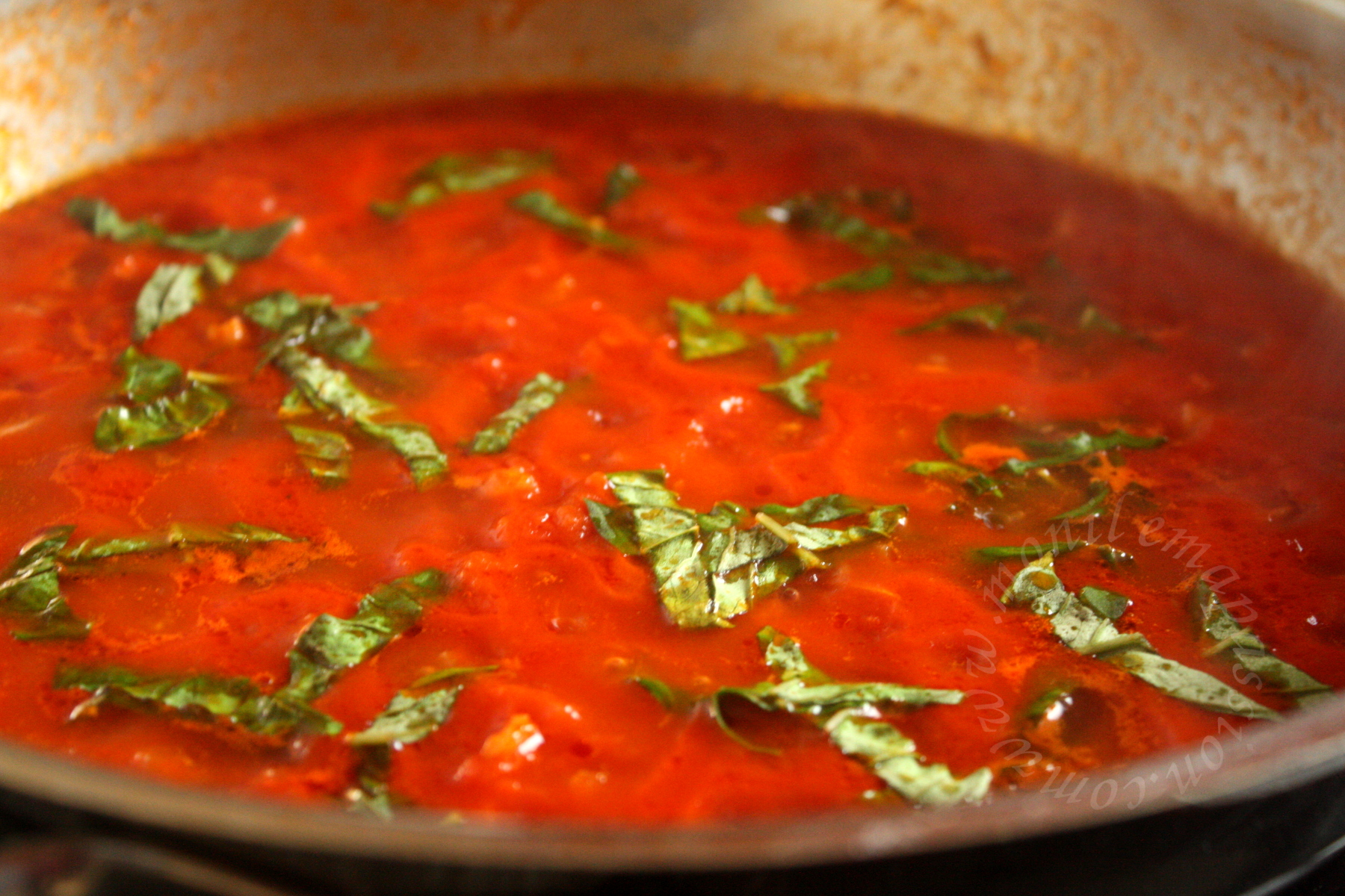 Sauce tomate au basilic – Basil tomato sauce