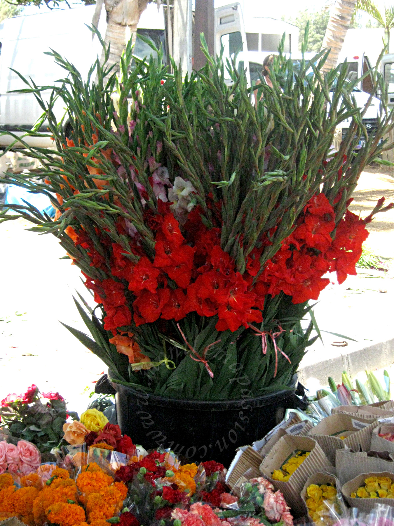 ￼￼Le marché forain de Saint-Pierre (La Réunion) - Saint Peter's farmers' market (Reunion Island)