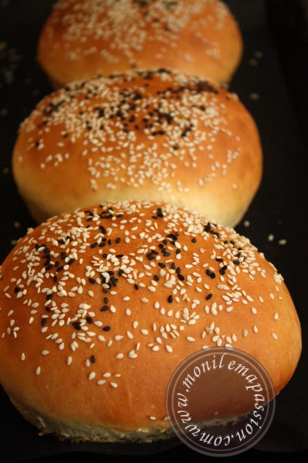 Pains Burger Maison Homemade Burger Buns