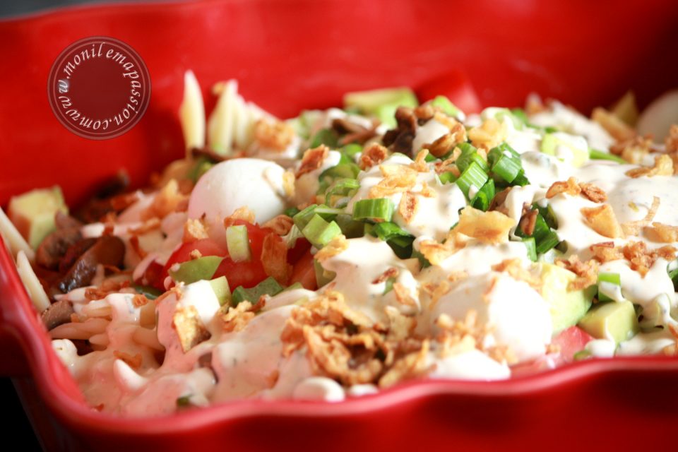 Salade De P tes Sauce Ranch Pasta Salad And Ranch Dressing salade-de-p-tes-sauce-ranch-pasta-salad-and-ranch-dressing