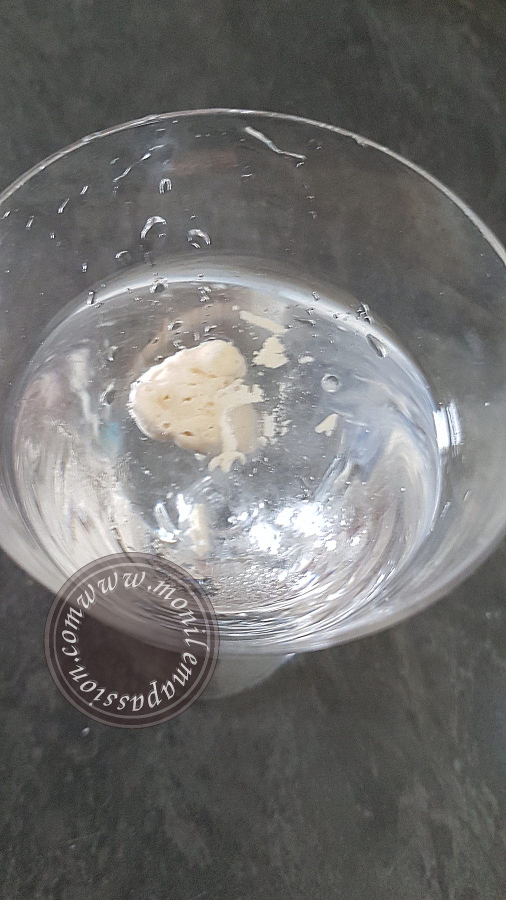 Levain Naturel Levain Sourdough Starter levain-naturel-levain-sourdough-starter