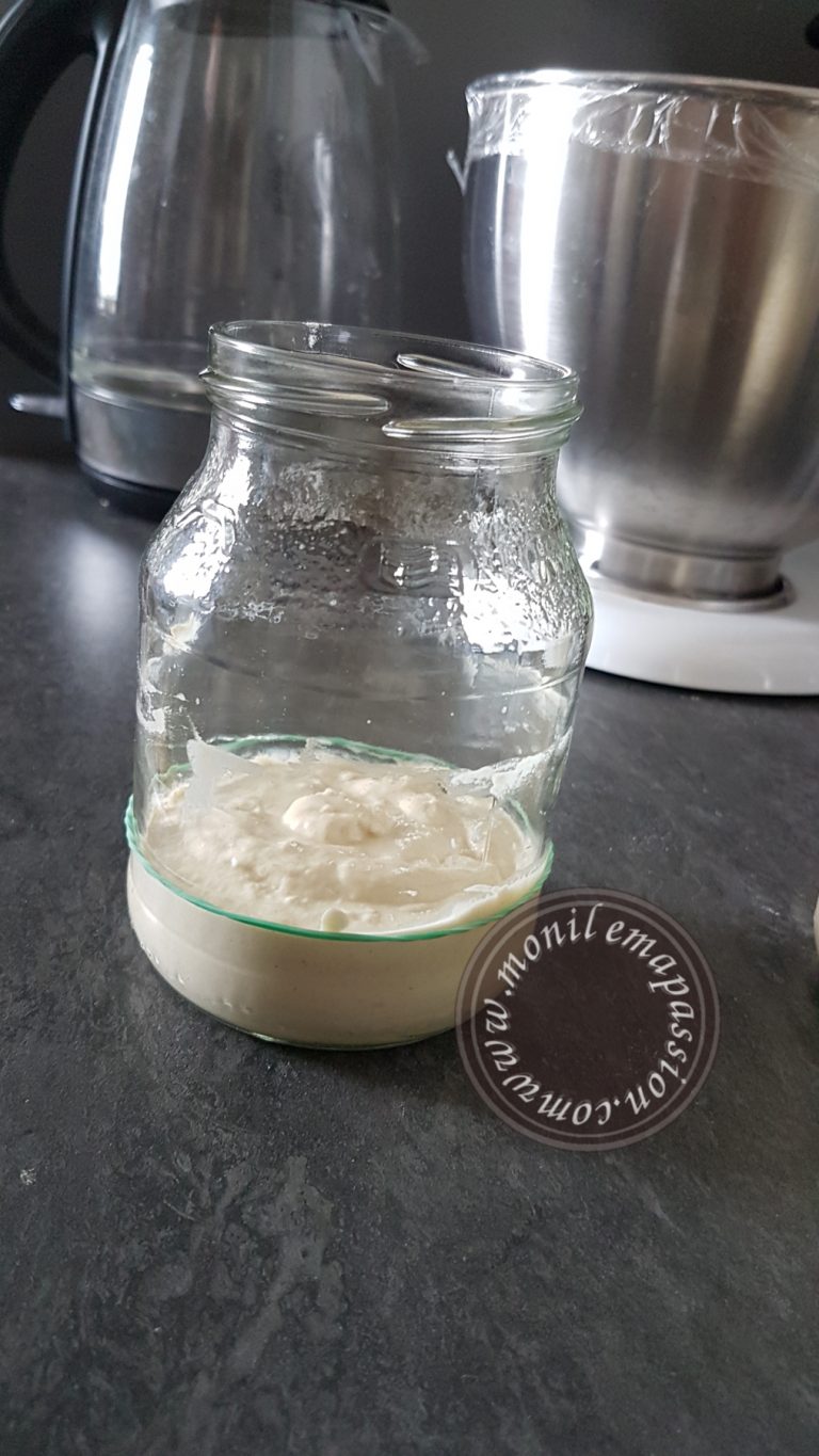 Levain Naturel Levain/Sourdough Starter