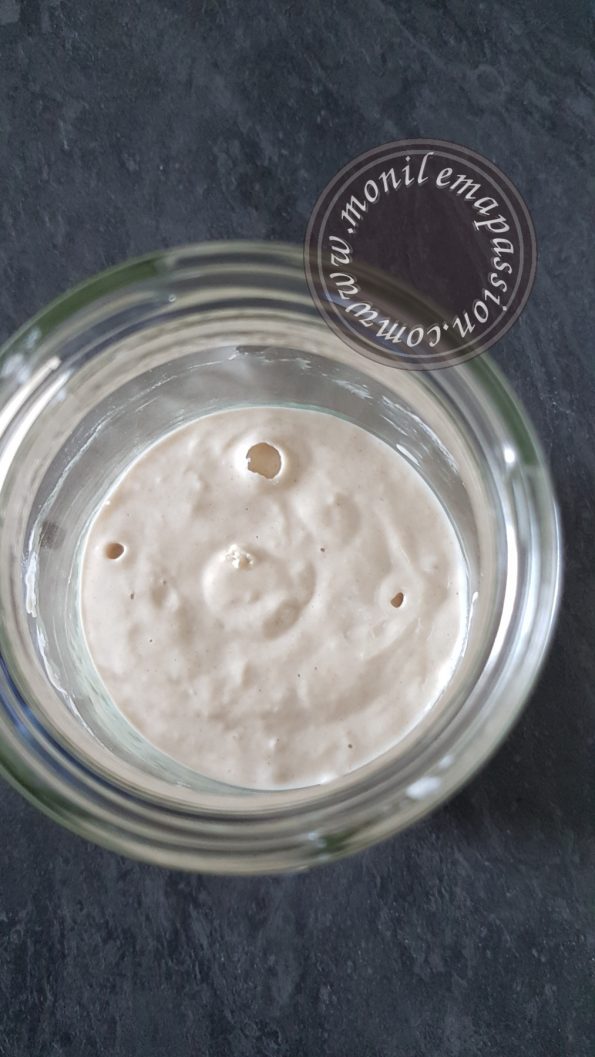 Levain Naturel Levain/Sourdough Starter